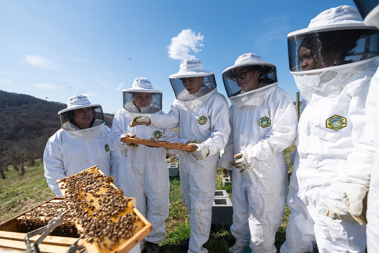 Students wearing protective bee gear and holding honey