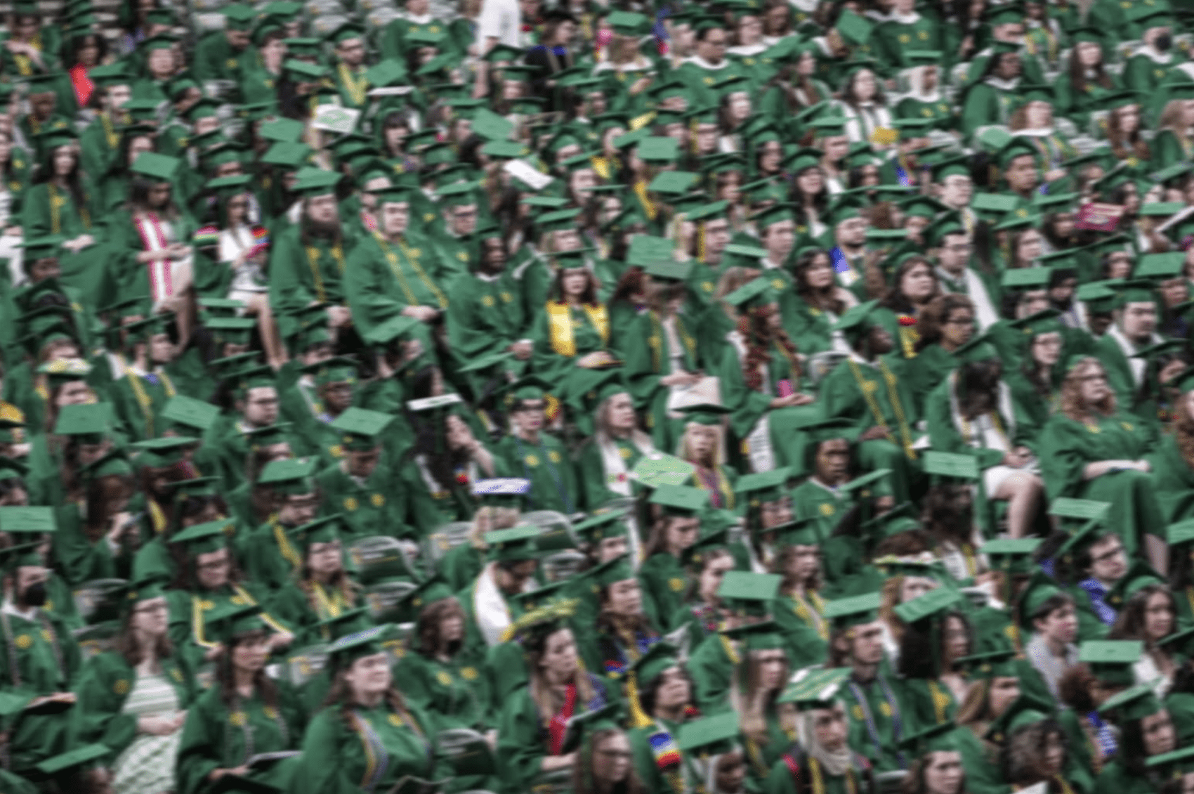 Many graduates wearing green commencement regalia