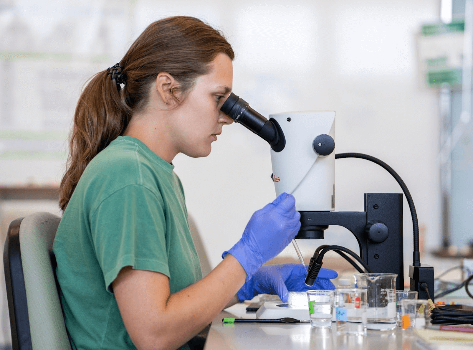 Student looking into a microscope