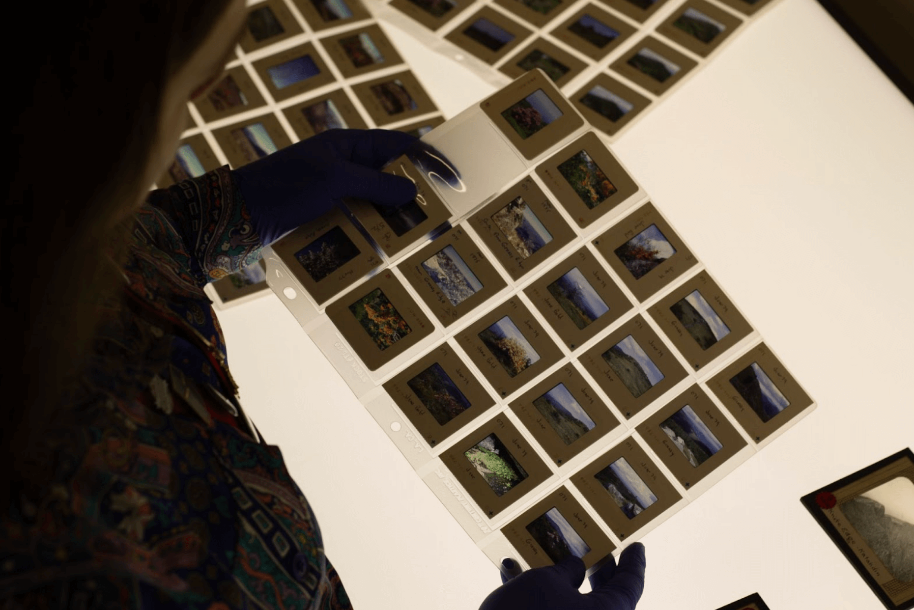 Close up of photo negatives